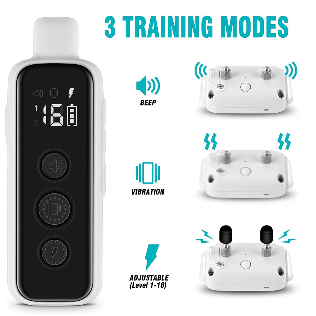 Waterproof Rechargeable Electric Dog Training Collar with Remote B807754
