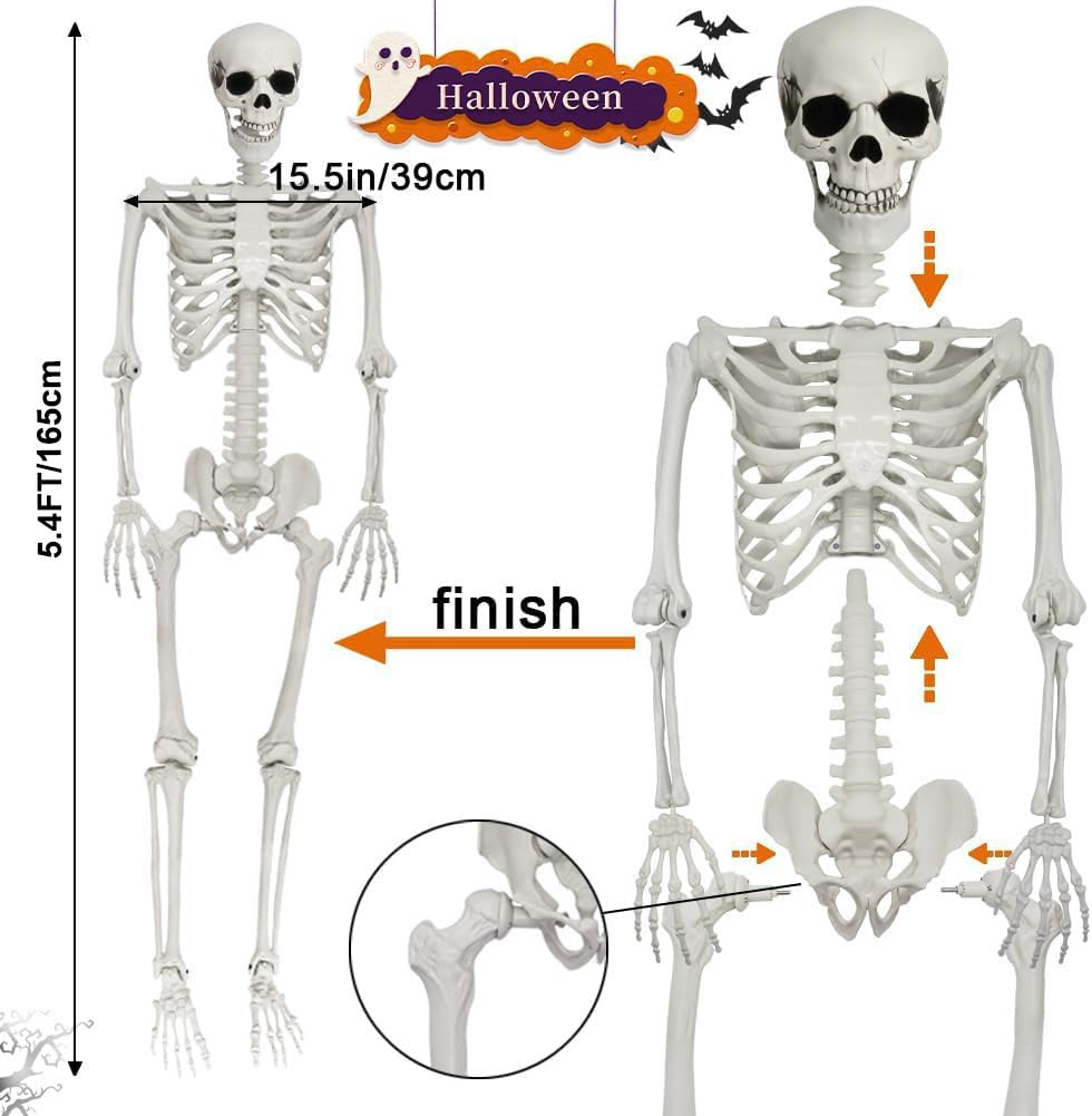 Full Size Poseable Plastic Skeleton H7007