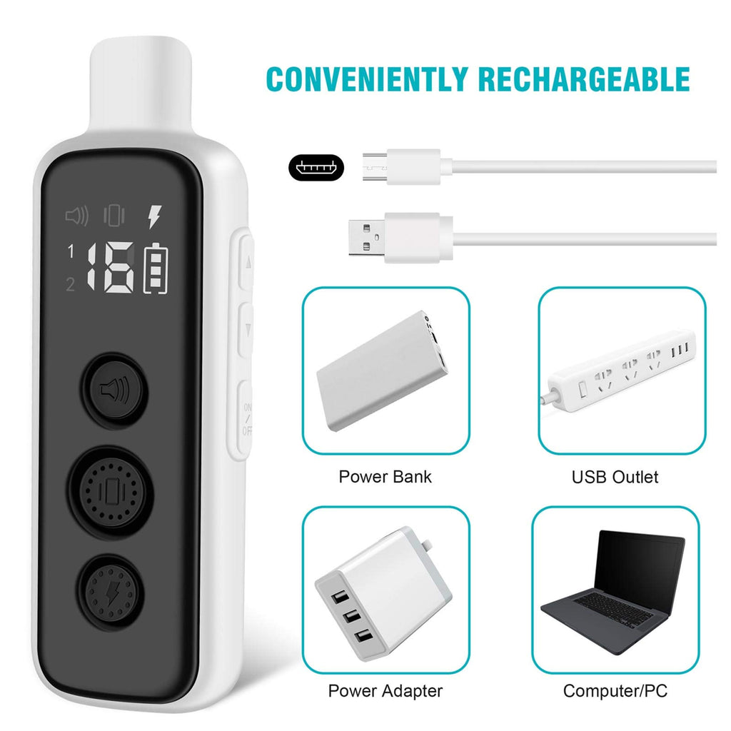 Waterproof Rechargeable Electric Dog Training Collar with Remote B807754