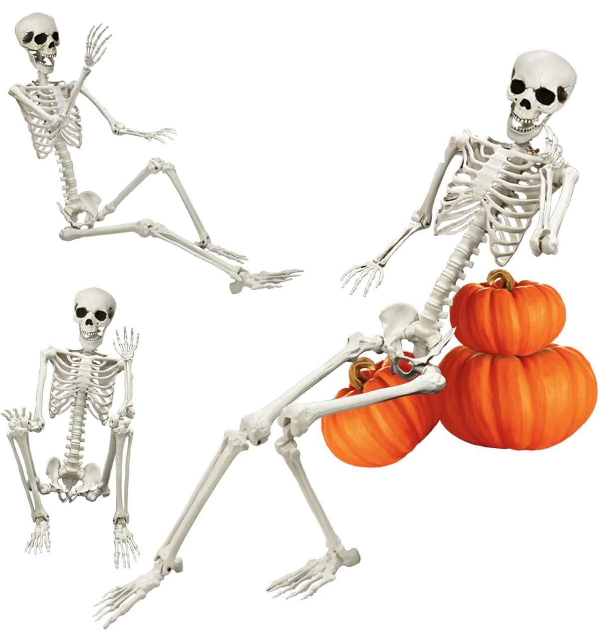 Full Size Poseable Plastic Skeleton H7007