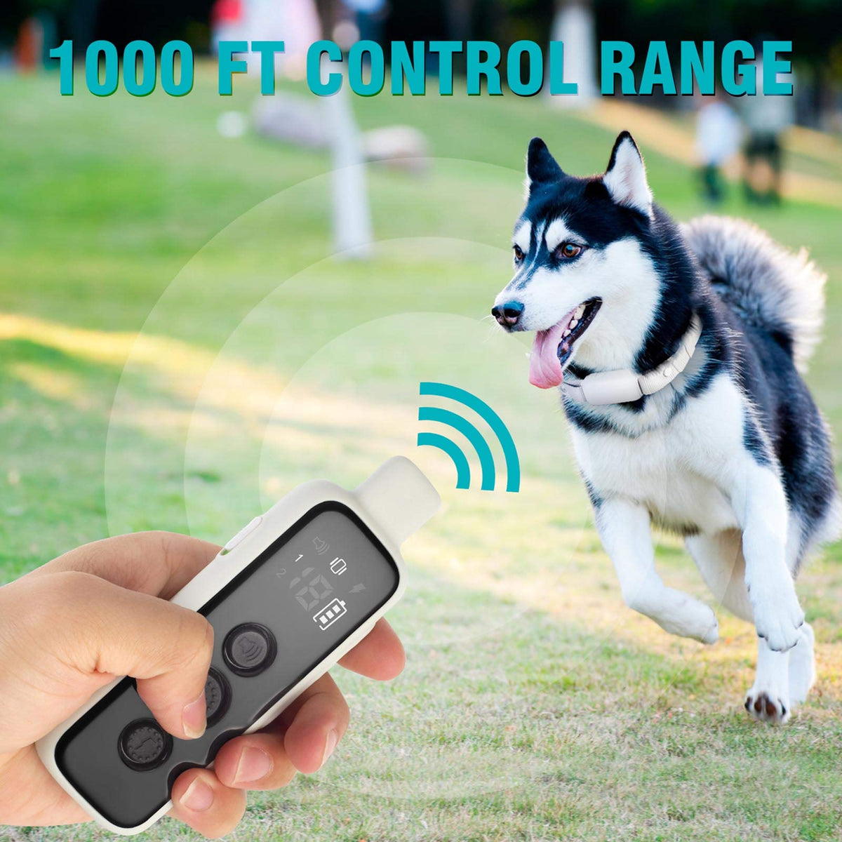 Waterproof Rechargeable Electric Dog Training Collar with Remote B807754