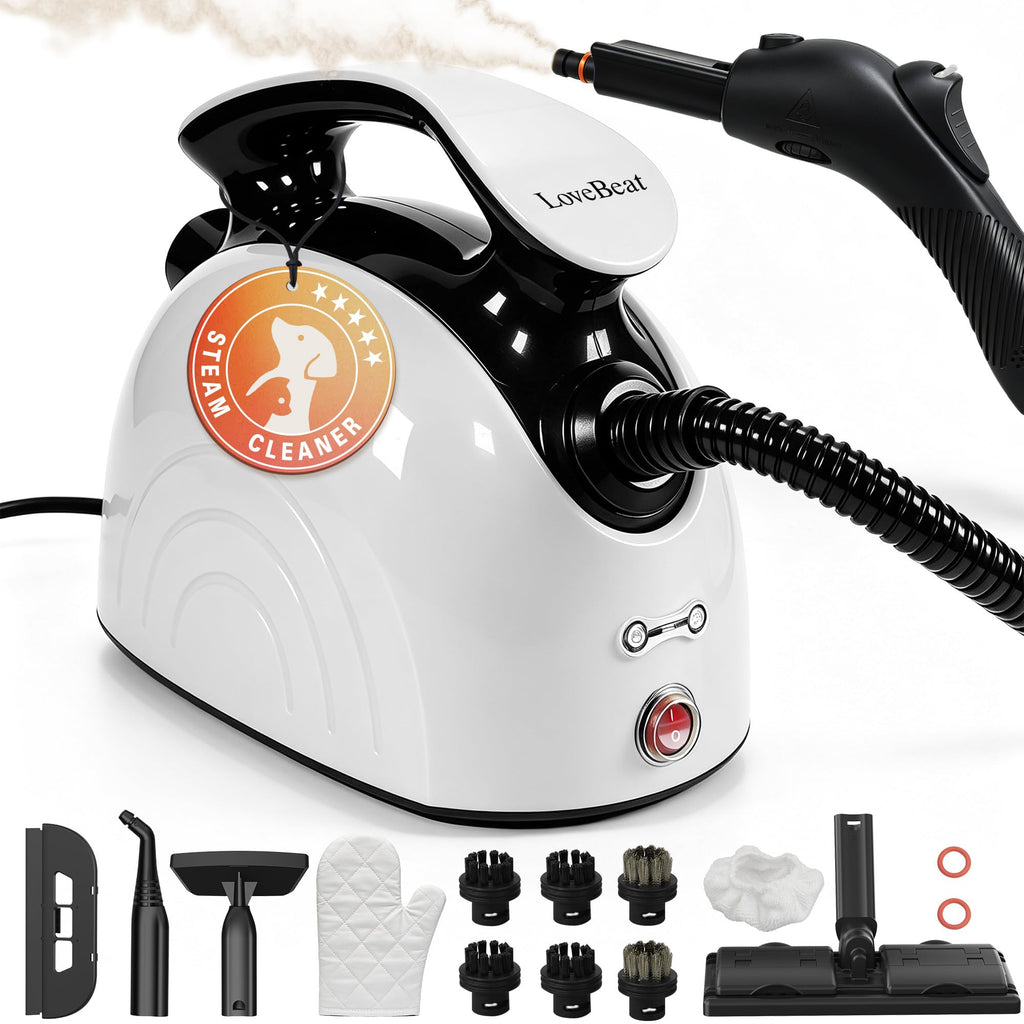 4.5 Bar 300°F Steam Cleaner Z2469