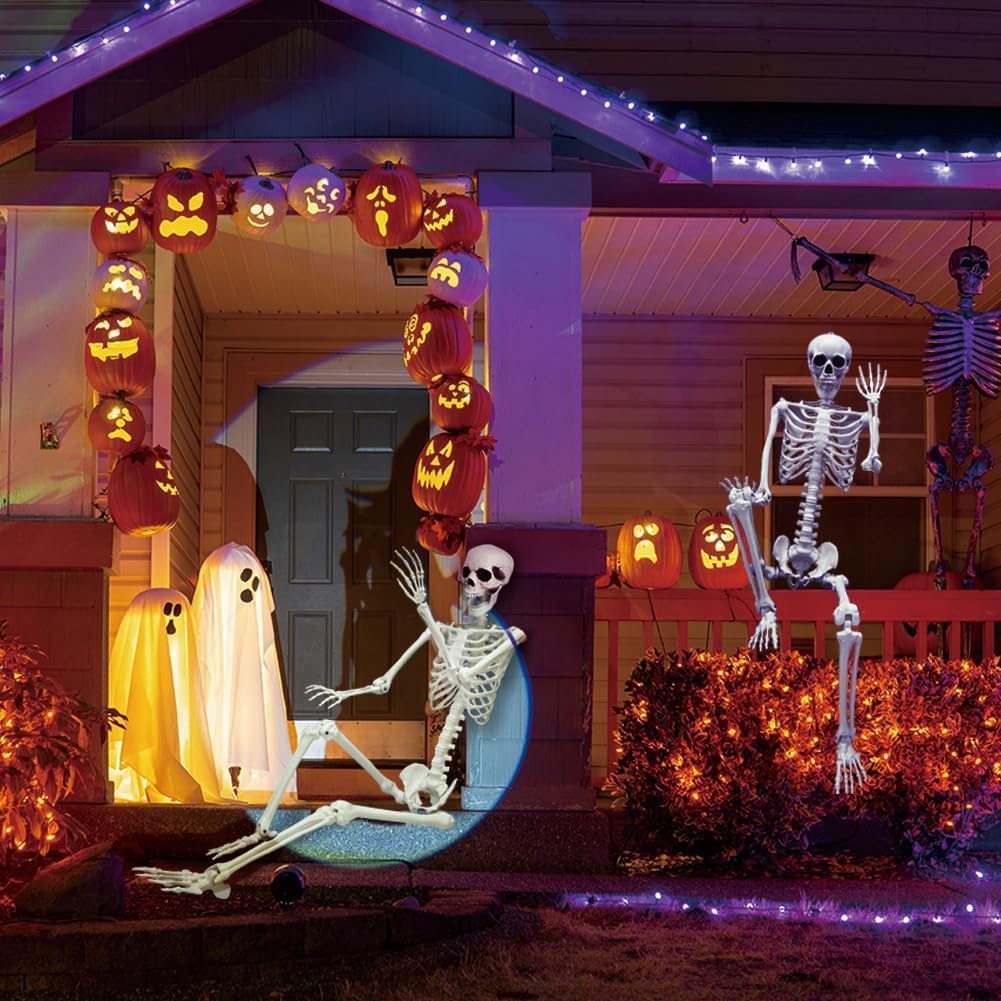 Full Size Poseable Plastic Skeleton H7007