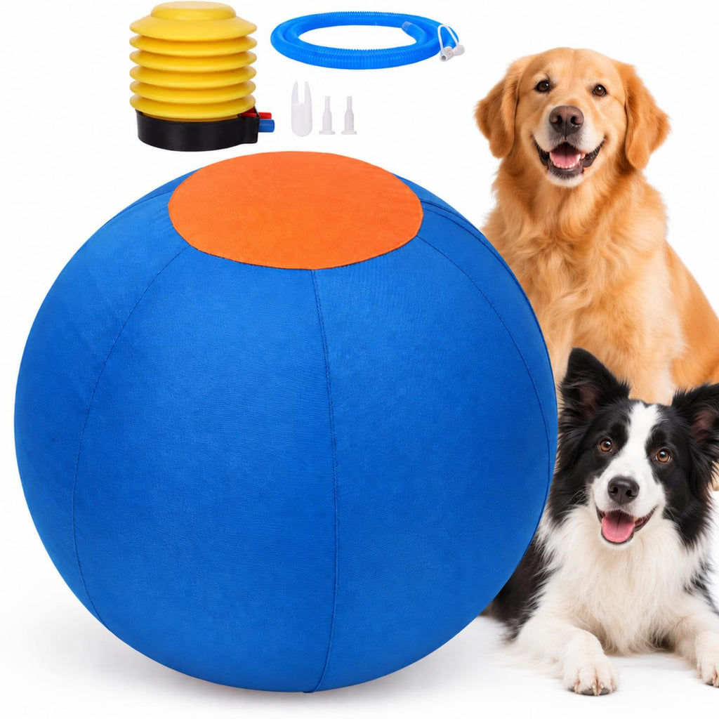 Large Interactive Dog Toy Z457978