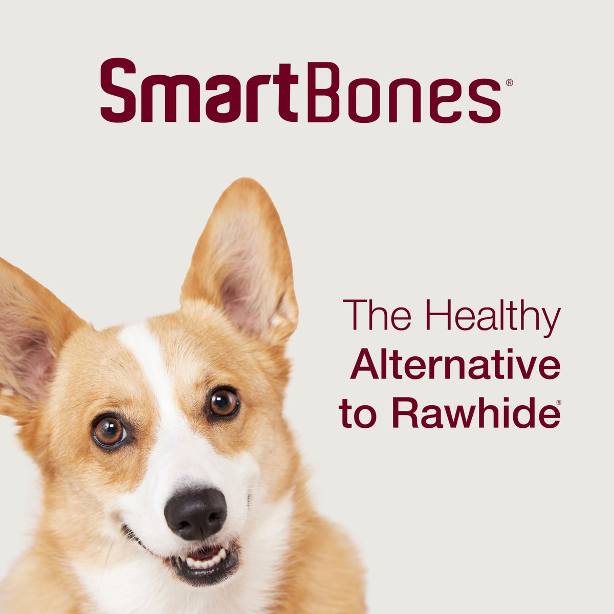 Peanut Butter Rawhide-Free Dog Treats 50 Count T53170