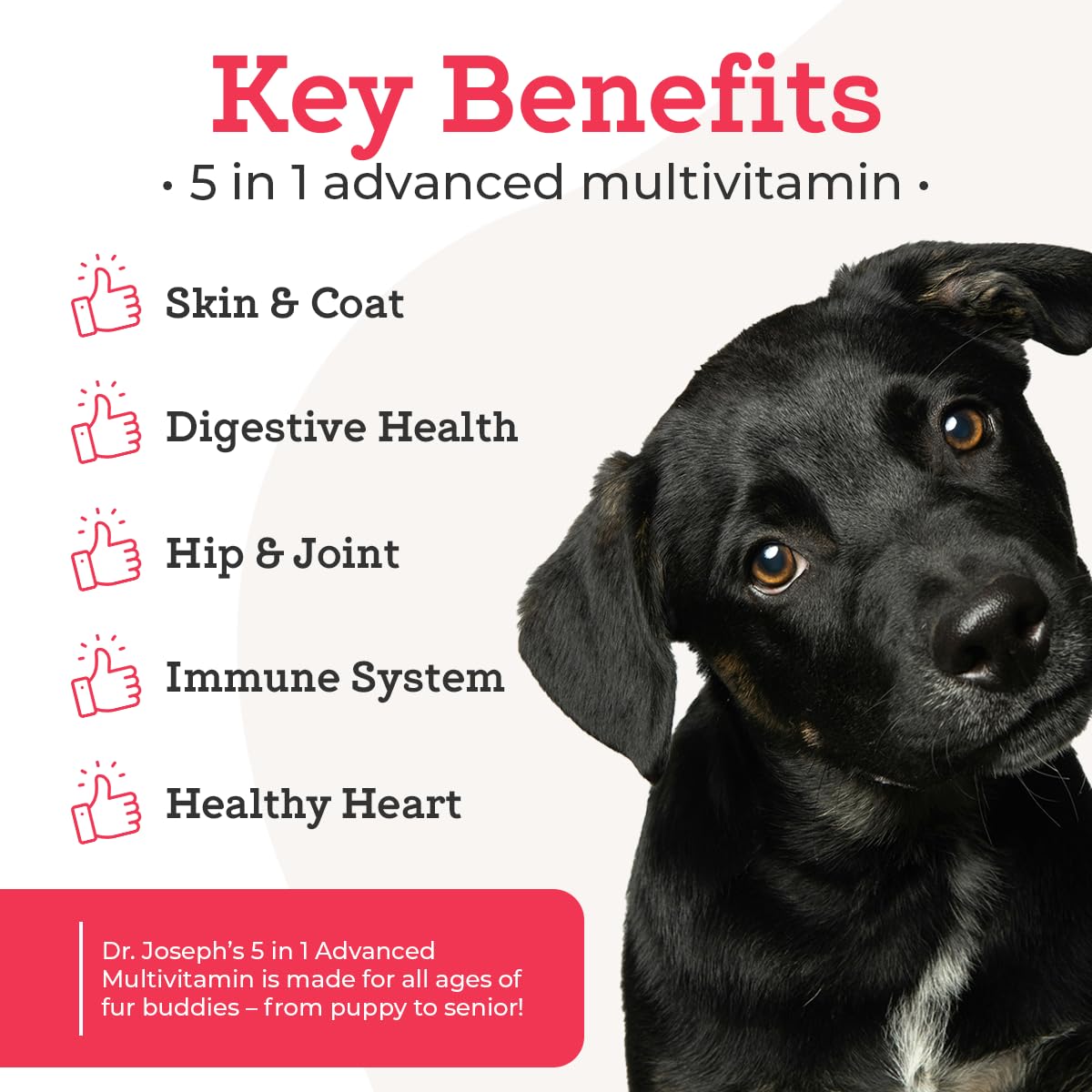 120 Count Dog Multivitamin Chew M34383