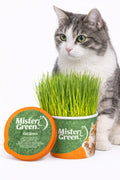 Cat Grass Grow Kit K668897