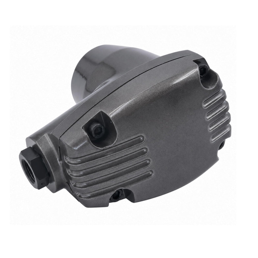Pneumatic Air Hammer Tool with 5 Tips B49511
