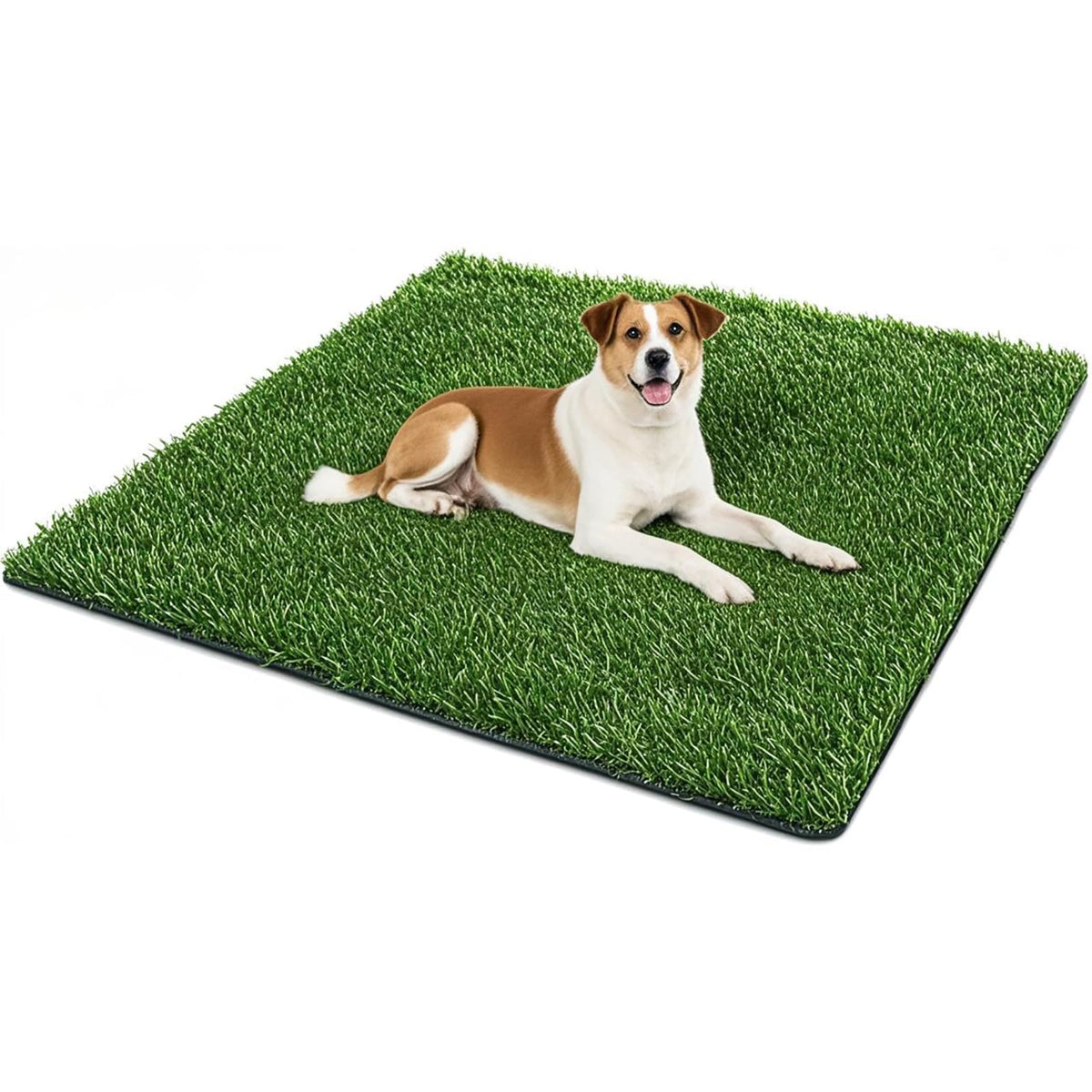 50.1x30.5In Artificial Grass Dog Pee Pad L729