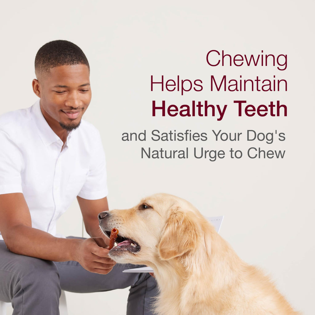 Peanut Butter Rawhide-Free Dog Treats 50 Count T53170
