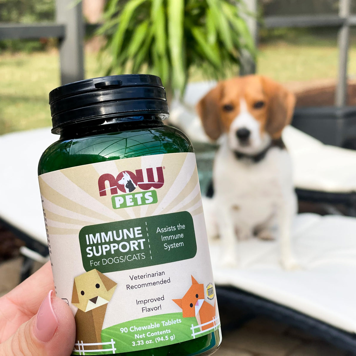 Immune Support Supplement for Cats & Dogs 90 Chewable Tablets A467155