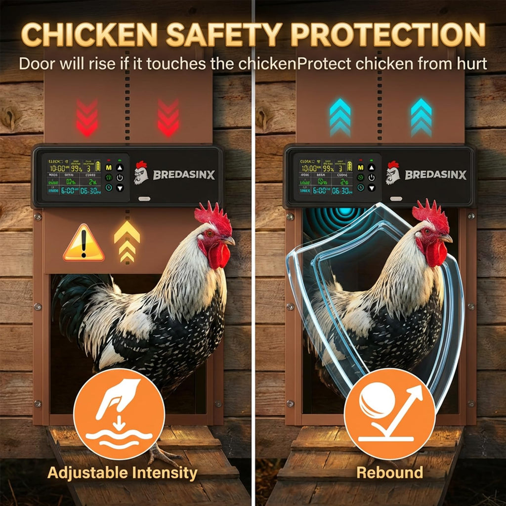 Automatic Chicken Coop Door L9884