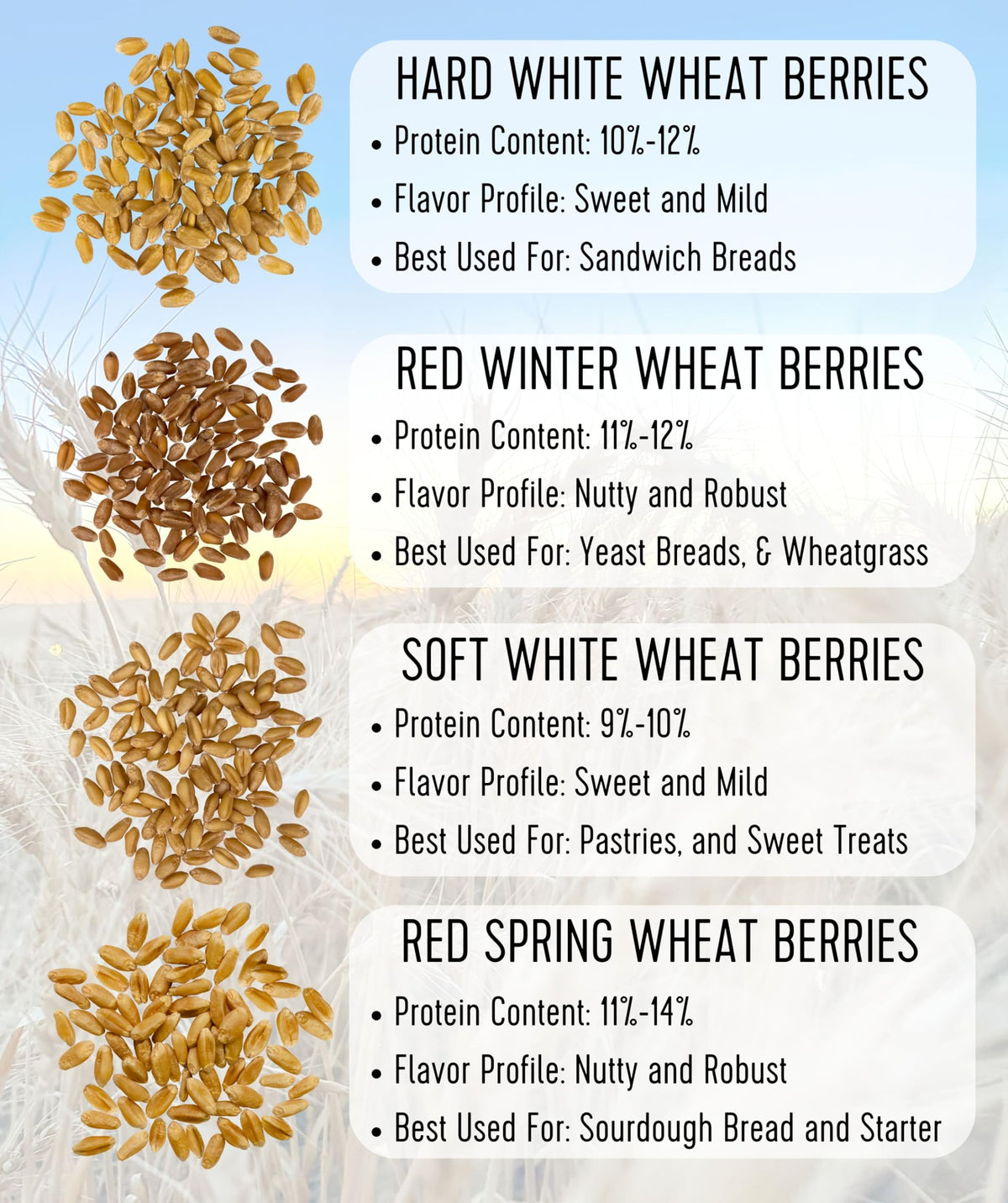 Hard Red Winter Wheat Berries 25 LBS Bag Sproutable Non-GMO Kosher Z281