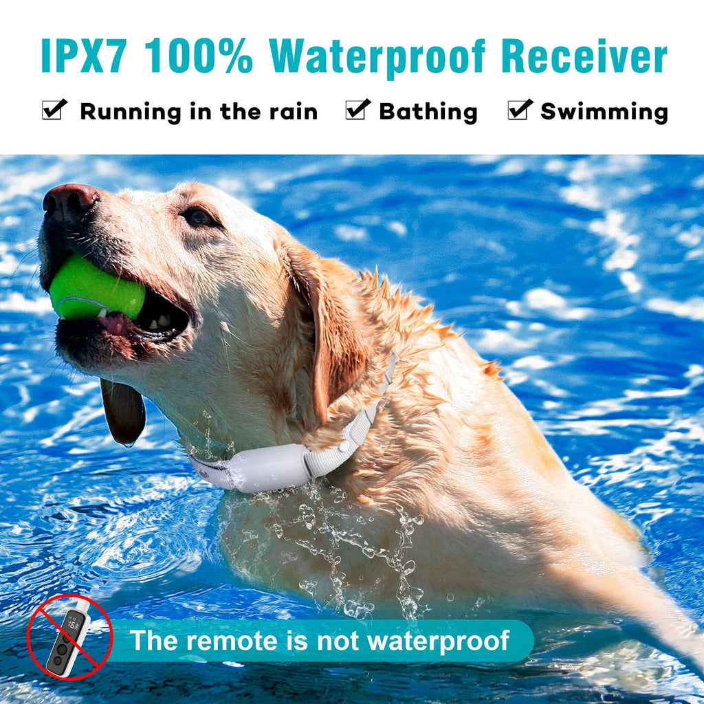 Waterproof Rechargeable Electric Dog Training Collar with Remote B807754