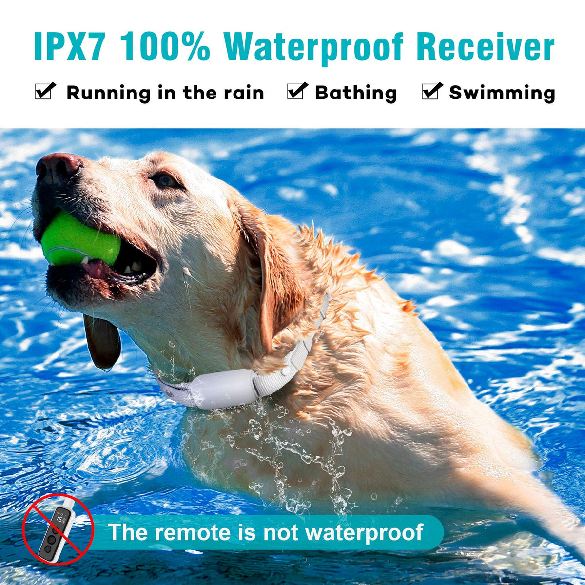 Waterproof Rechargeable Electric Dog Training Collar with Remote B807754