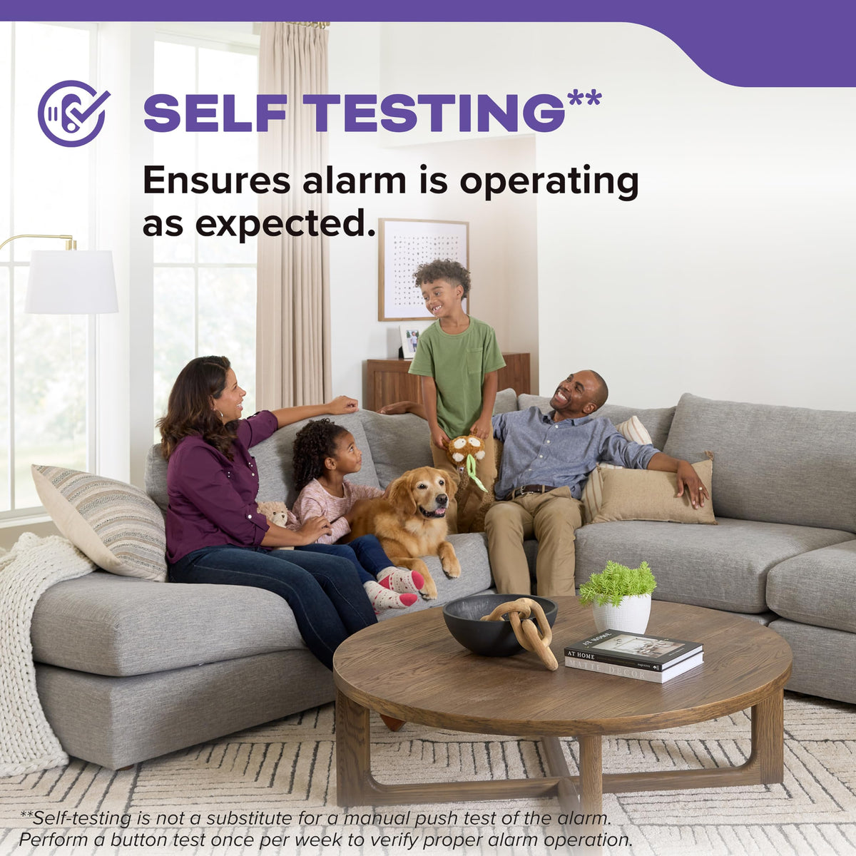 Smoke & Carbon Monoxide Detector S649
